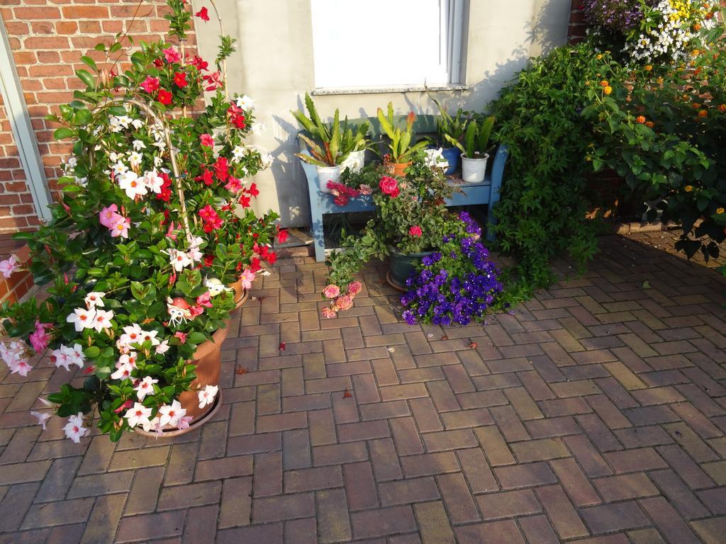 Ferienwohnungen Amselweg Brandenburg  Extérieur photo